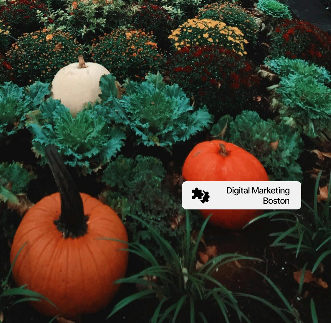 Digital marketing services Boston