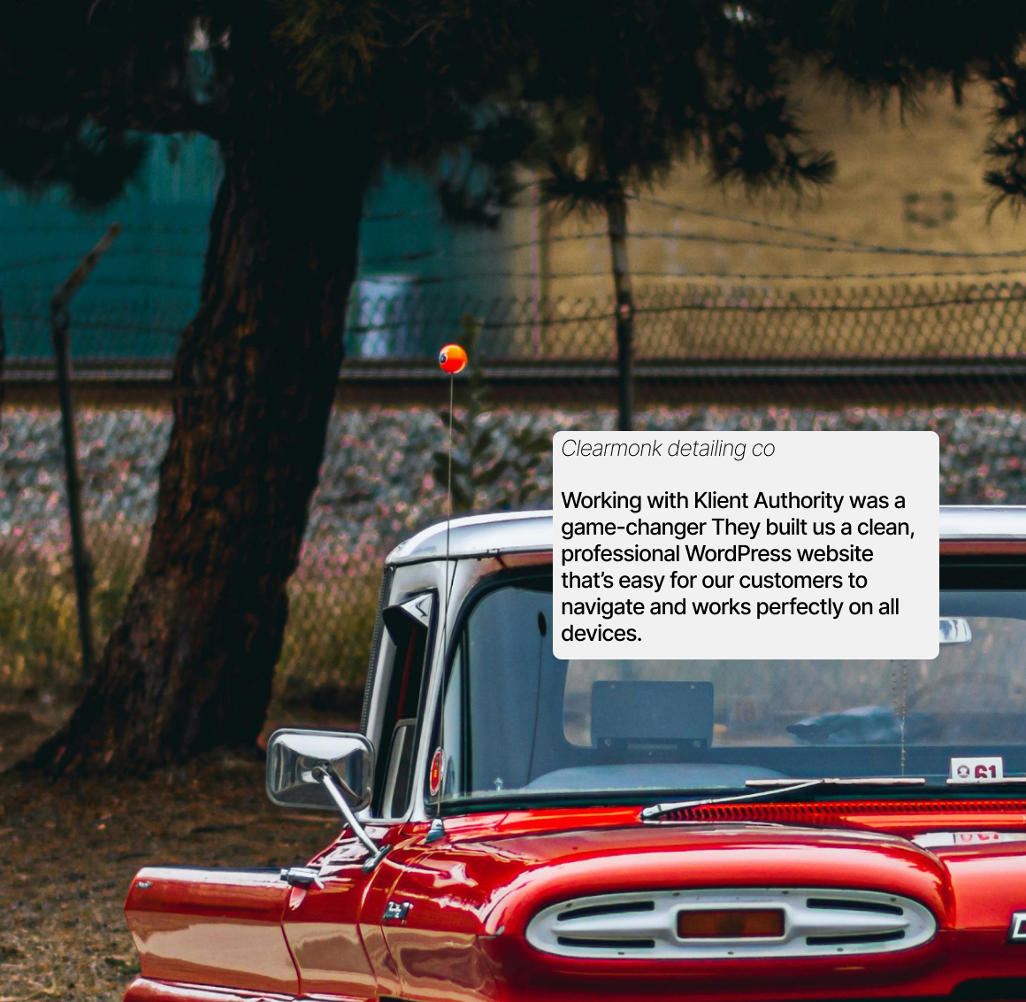 website development with wordpress